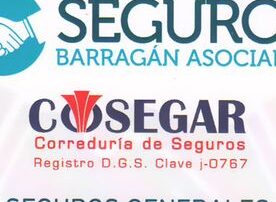 Logotipo de Seguros Barragán y Asociados